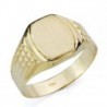 18K SELLO ORO AMARILLO CABALLERO CROMADO HUECO