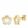 PENDIENTES ORO AMARILLO FLOR AIRSHINE TRANSPARENTE Y CIRCONITAS. 8,5 X 8,5 MM.
