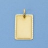 18K CHAPA TALLADA. 18 X 12 MM.