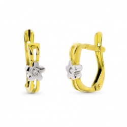 18K PENDIENTES ORO BICOLOR...