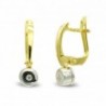 18K PENDIENTES ORO BICOLOR ARO Y CIRCONITA