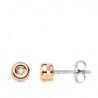 18K PENDIENTES CHATÓN DIAMANTES ORO ROSA 0,040 QTES. PRESIÓN. G-VS2