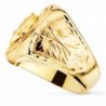 18K SELLO ORO AMARILLO HERRADURA CABALLO ANCHO TOTAL 20 MM