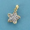 18K COLGANTE ESTRELLA CIRCONITAS