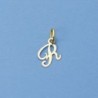 18K COLGANTE LETRA "R" 9 X 8 MM.