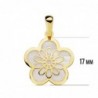 18K COLGANTE FLOR NACAR. 17 MM.