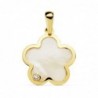 18K COLGANTE FLOR NACAR CIRCONITAS 17 X 17MM