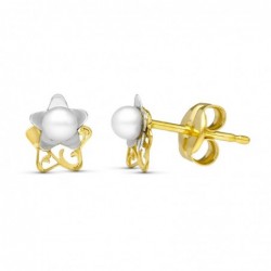 18K PENDIENTES ORO BICOLOR...