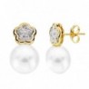 18K PENDIENTES CIRCONITAS PERLA 18 X 10 MM.