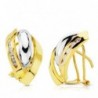 18K PENDIENTES ORO BICOLOR BANDAS 17 X 11 MM.
