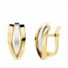 18K PENDIENTES ORO BICOLOR BANDAS 16 X 7 MM.