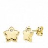 18K PENDIENTES FLOR CIRCONITAS. 7 X 7 MM