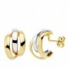 18K PENDIENTES BANDAS ORO BICOLOR 14 X 9 MM.