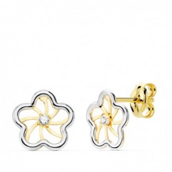 18K PENDIENTES ORO BICOLOR...