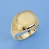 18K SELLO ORO AMARILLO CABALLERO