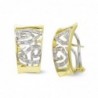 18K PENDIENTES ORO BICOLOR CON CIRCONITAS CIERRE OMEGA